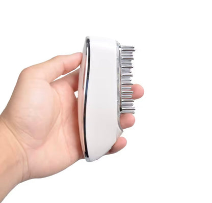 Brosse de Massage capillaire - Luneixo